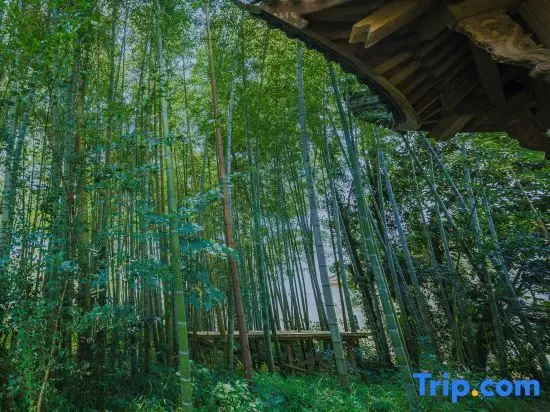 Wangshan Life Fishing Snow Garden Natural Aesthetics Homestay (Huangshan Xixinan Ancient Village) — фото 1
