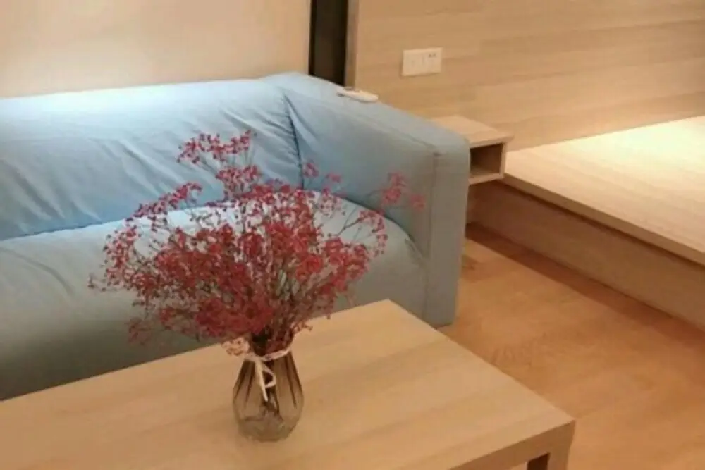 Feifan Leya Serviced Apartment (Foshan Chencun) — фото 1