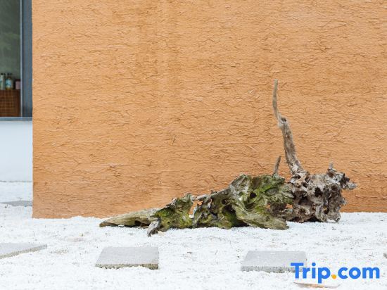 Хучжоу: Ginkgo Homestay