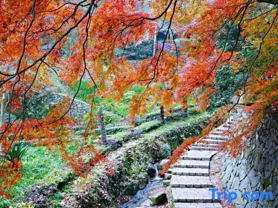Хучжоу: Moganshan Mu Xi Stone Color Homestay