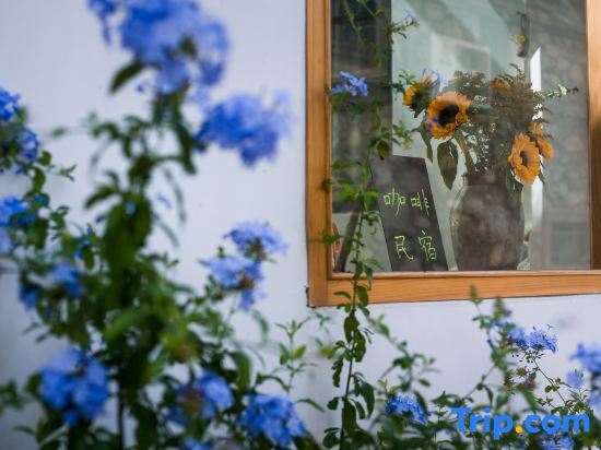 Дали: Dali Xingge Homestay (Gucheng Renmin Road)