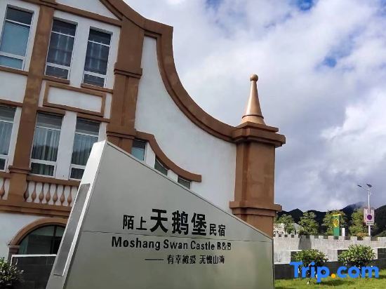 Moshang Swan Castle B&B — фото 1
