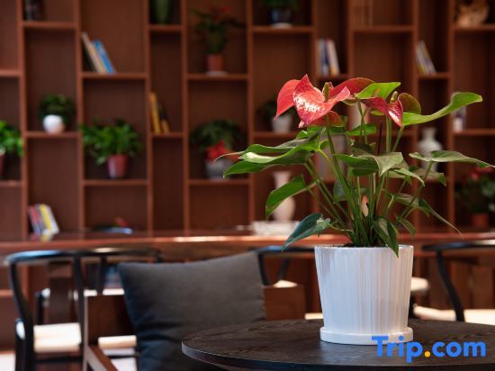 Лючжоу: Poltton International Apartment (Liuzhou Yaobu Old Town)