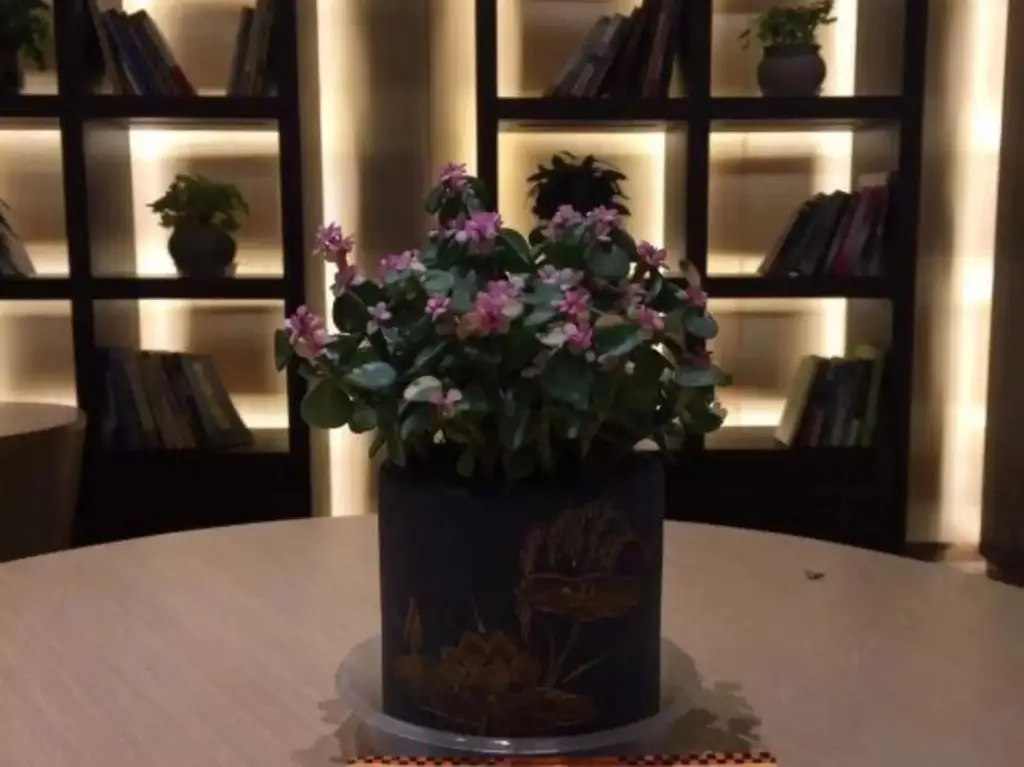 Чэнду: Lindao Holiday Inn