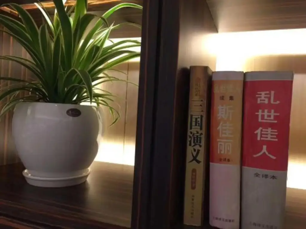 Чэнду: Lindao Holiday Inn