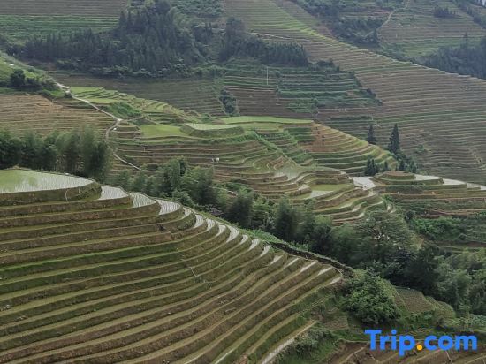 Longsheng: Longji Muyunju Boutique Homestay (Ping'an Zhuangzhai Seven Stars and Moon Viewing Point )