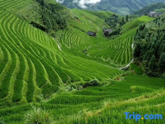 Longsheng: Longji Muyunju Boutique Homestay (Ping'an Zhuangzhai Seven Stars and Moon Viewing Point )
