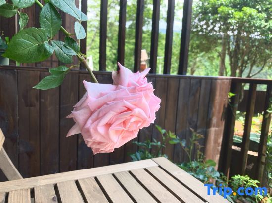 Цзюцзян: Shaoshan Xixi Homestay