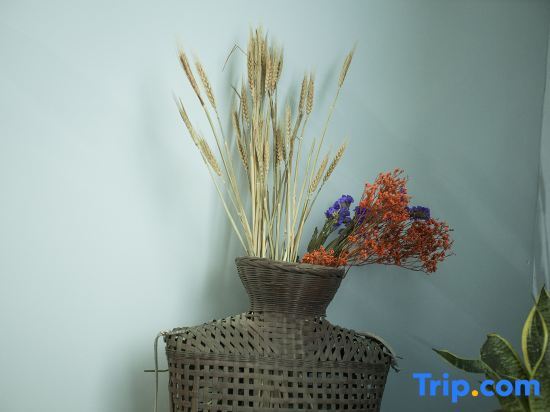 Ичунь: Warm House Artistic Hot Spring Hostel