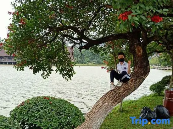 Дунгуань: Kaixuan Apartment (Dongguan Songshan Lake)