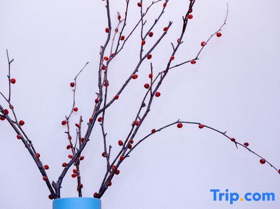 Гуйян: Atour Hotel (Guiyang Century City Shopping Center)