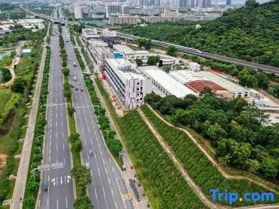 Шэньчжэнь: Oska International Hotel (Shenzhen Guangming Zhenmei Subway Station)