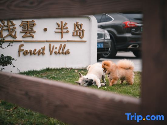Шанхай: Qianyun Peninsula Forest Private Tang Holiday Courtyard