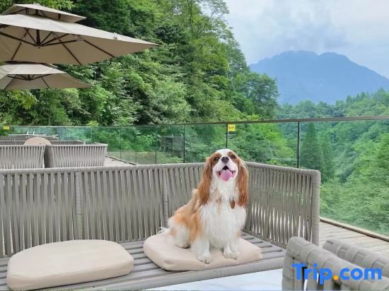 Чэнду: Yepsun Villa [The first choice for overseas tourists]