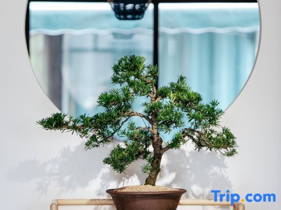 Ханчжоу: Tongpoqiao No. 7 Guesthouse