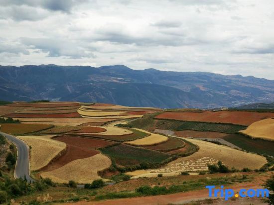 Куньмин: Red Clay Image Hotel Kunming