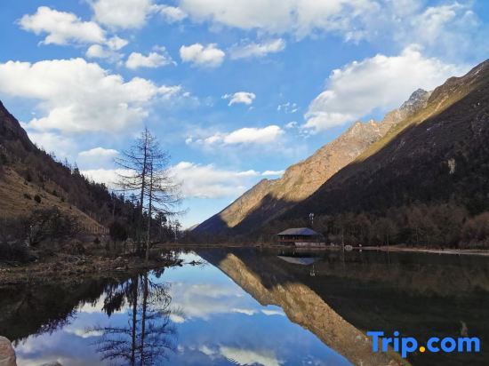 Чжуанфан: Sheye Boutique Homestay