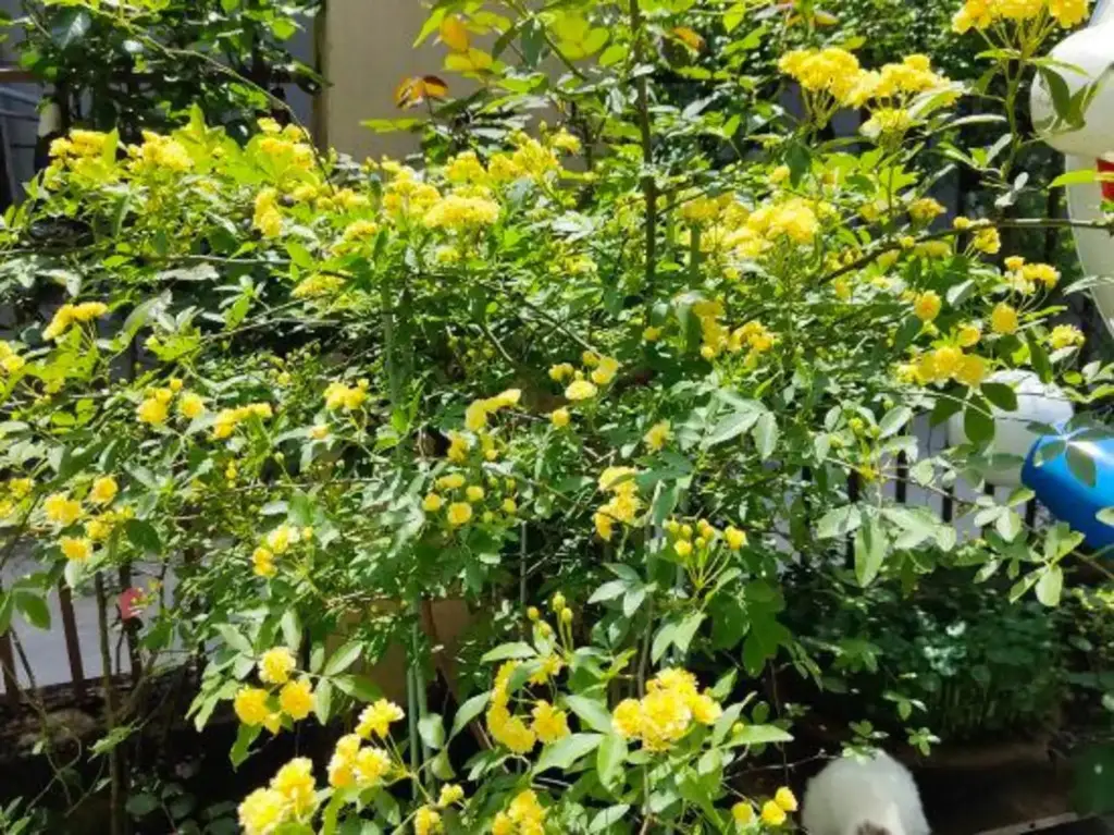 Уси: Wuxi Xu Xiake International Youth Hostel