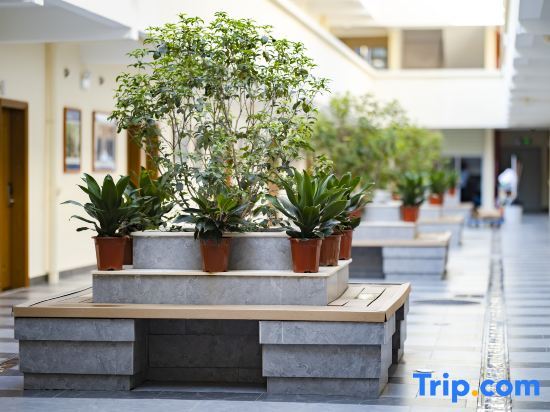 Гуанчжоу: Light Courtyard Apartment (Guangzhou International Textile City Sun Yat-sen University Branch)
