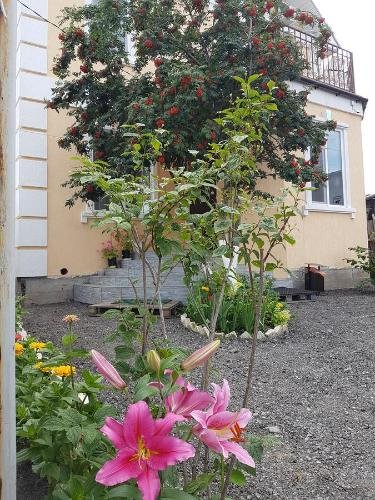 Тюмень: Dom U Naberezhnoy Hostel