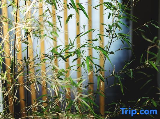 Цзяньшуй: Guanlanting Homestay (Jianshui Zitao Street)