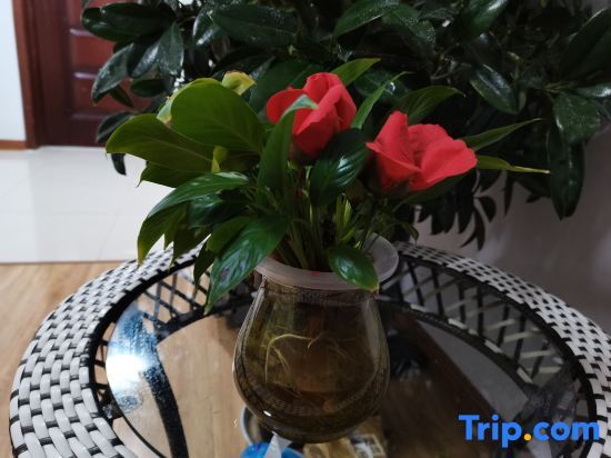 Далянь: Dalian south China Plaza Hotel apartment