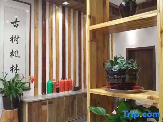 Ханчжоу: Hangzhou Linan Old Maple Tree Valley-view Hostel