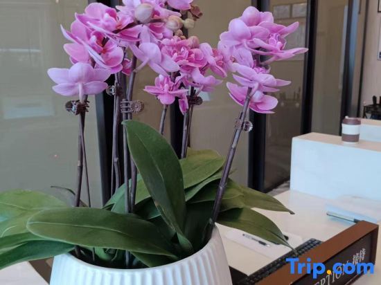 Гуйян: Yunlu Hotel (Southwest International Trade City, Guanshanhu District, Guiyang)