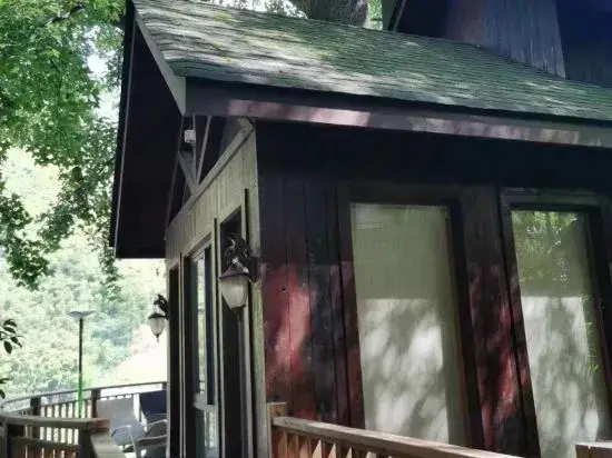 Ханчжоу: Tree House Guesthouse