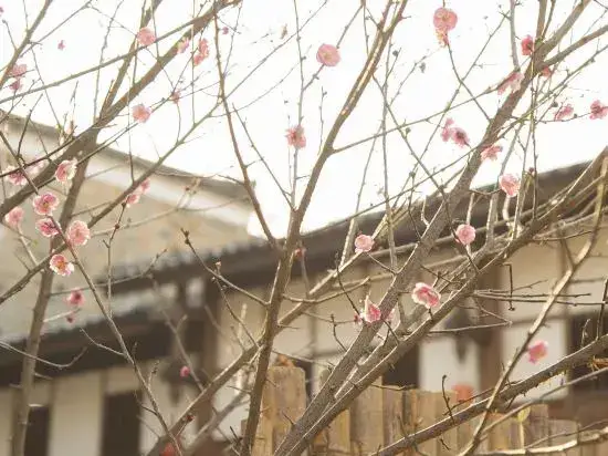 Фучжоу: Puduchangli Inn