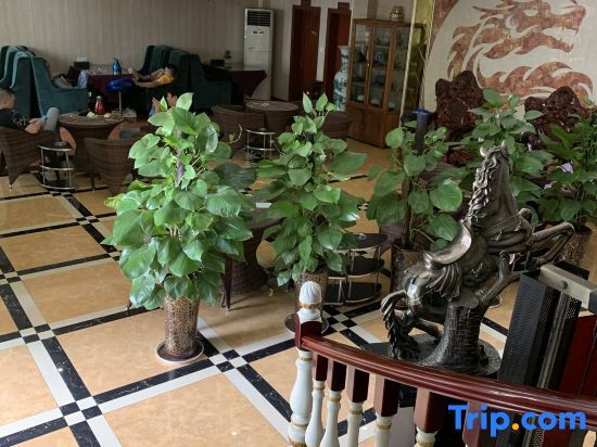 Панжихуа: Panzhihua Kaidikangyang Hotel
