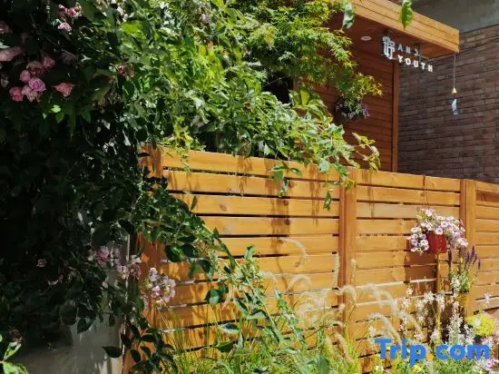 Пекин: Anyu Andyouth B&B (Shunyi New City Binhe Forest Park Store)