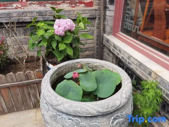Пекин: Badaling Qianbaoduo Homestay