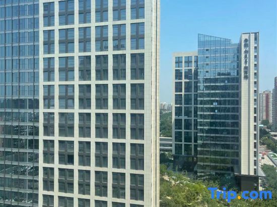 Lauder Executive Apartment — фото 1