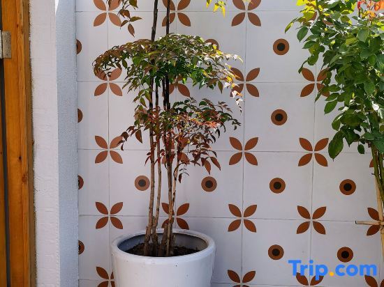 Пекин: Beijing Stranger Garden homestay