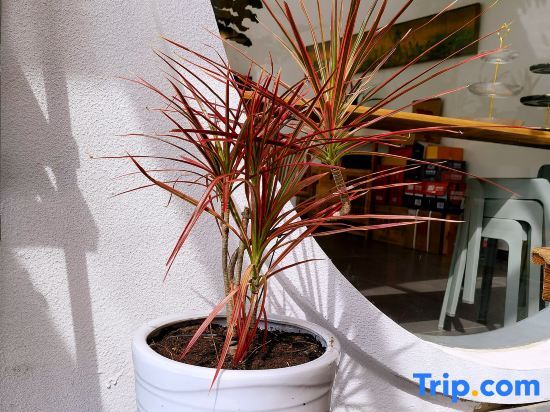 Пекин: Beijing Stranger Garden homestay