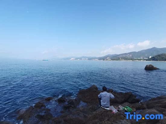 Шэньчжэнь: Shenzhen Puyue Liangshe Homestay