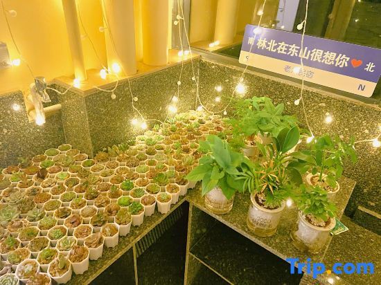 Жангжоу: Dongshan Island Xingfuli Homestay