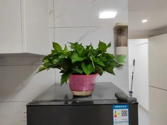 Уси: Wuxi Huiyuju Apartment
