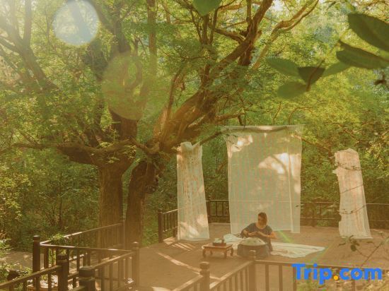 Санья: Tree House Nanshan Sanya