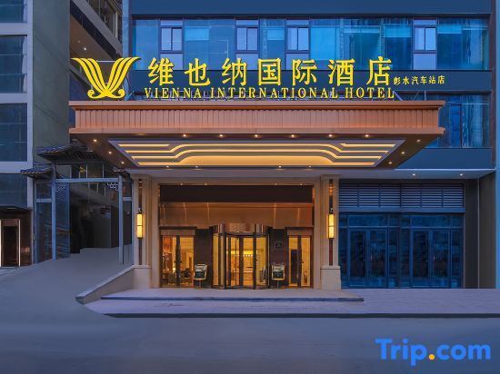 Vienna International Hotel (Chongqing Pengshui  Liangjiang Plaza) — фото 1