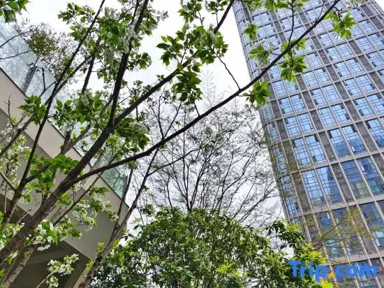 Чэнду: Apartment Apartment (Sansheng Huaxiang Branch, Jinjiang Campus, West China Second Hospital)