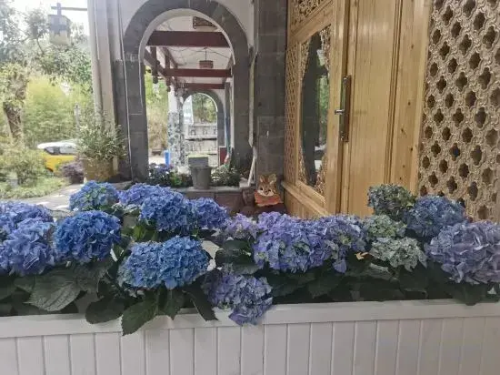 Баошань: Tengchong Jinshuiwan No.9 B&B