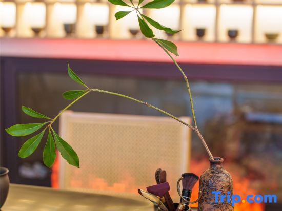 Линьань: Jianshui Guanziyun Homestay