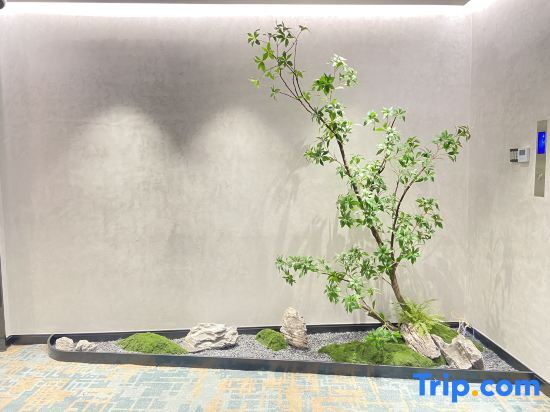 Хучжоу: Huzhou Quanya Hotel (Nanxun Shuanglin Phoenix Culture Square)