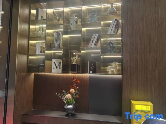 Дунгуань: Dongguan Tangxia Baifeilin Hotel (South High-speed Railway Station)
