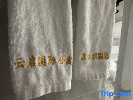Гуанчжоу: Yunqi International Apartment (Huangpu Fish Zhugang Branch)