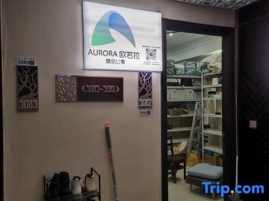 Шэньчжэнь: Aurora Boutique Apartment (Shenzhen Futian Qiaoxiang Branch)