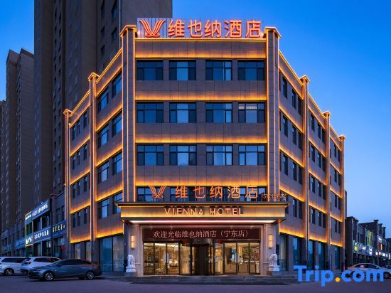 Vienna Hotel (Lingwu Ningdong) — фото 1