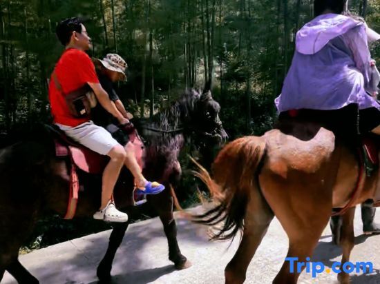 Xuancheng: Xi Wei Homestay (Moon Bay Scenic Area Branch)